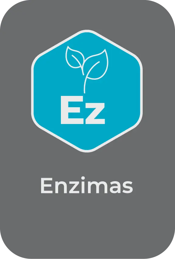 Enzimas